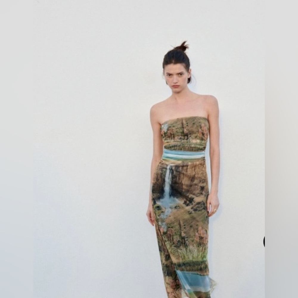 Zara midi dress